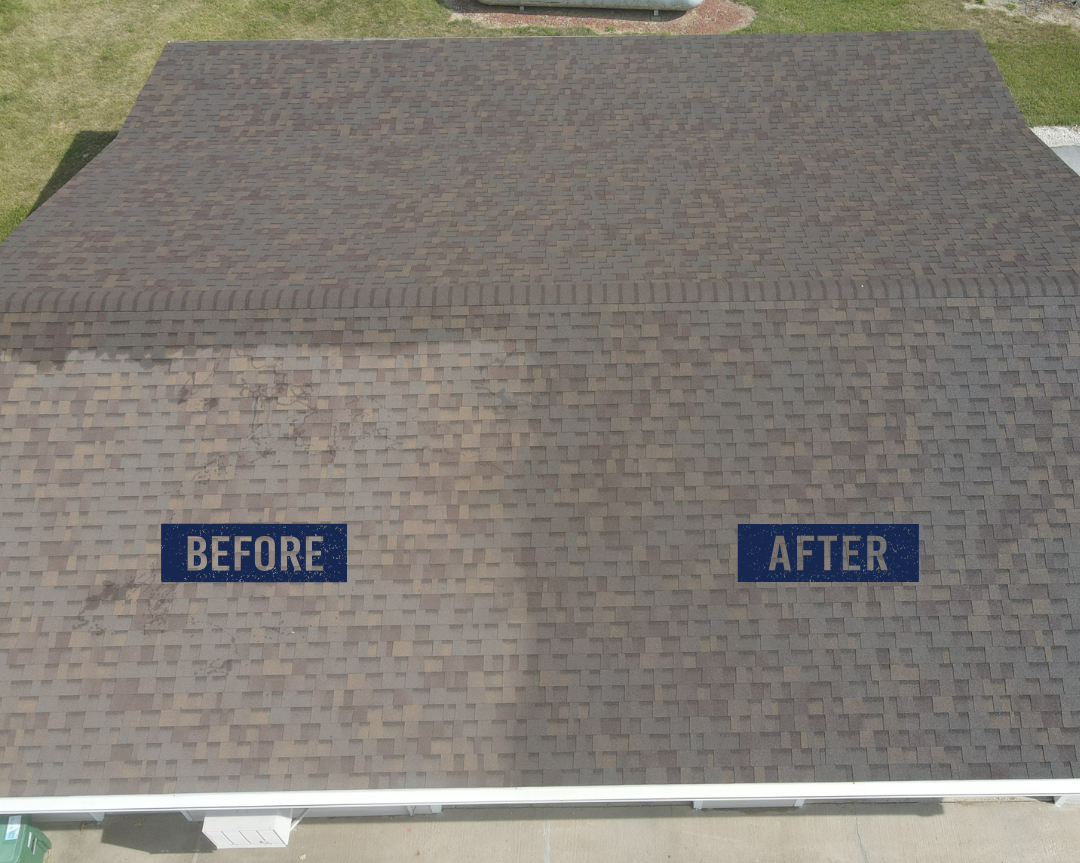 See-the-Difference--285-29-1920w
