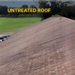 UNTREATED ROOFS-1